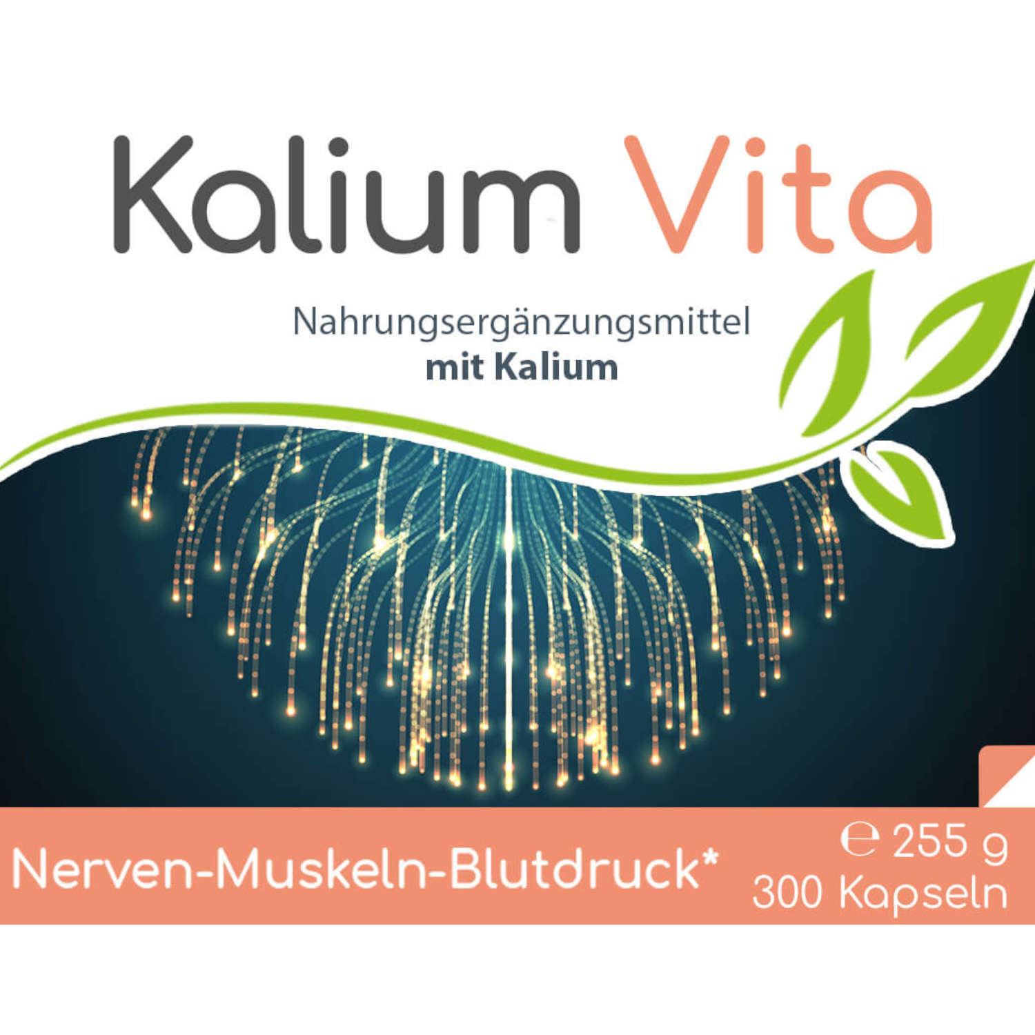 Kalium Vita 300 Kapseln im Vorratsbeutel von Cellavita - Etikett Vorderseite