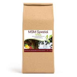 Produktabbildung: MSM Spezial Vita mit Vitamin C - 1000g von Cellavita - Produktfoto