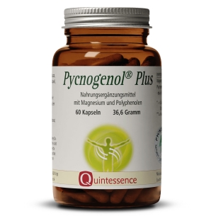 Produktabbildung: Pycnogenol Plus von Quintessence Naturprodukte - 60 Kapseln - Produktfoto