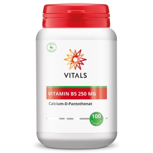 Produktabbildung: Vitamin B5 250 mg von Vitals - 100 Kapseln - Produktfoto